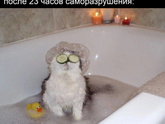Как вы заботитесь о себе?