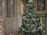 Нарядили нашу ёлочку 🎄🙌🏻✨