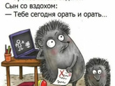 Домашнее образование в начальной школе