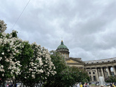 Жизнь после развода.