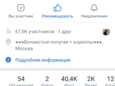Волнистые попугайчики, очень нужна помощь