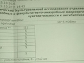 Стрептококк