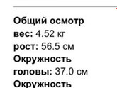 Как растёт окружность головы и груди у новорожденного?