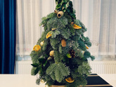 Флорист