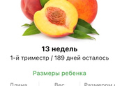 13 недель .