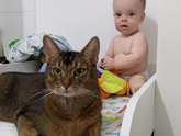 Что ждёт после родов?