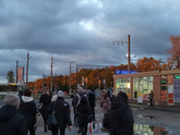 наши красоты