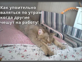 Мне больше никуда не