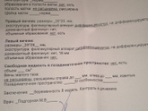 Плодное яйцо