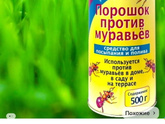 Муравьи на участке