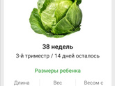 Мои 38 недель и 6й день в больнице