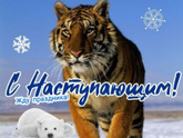 С наступающим новым годом!