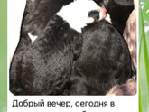 Помогите пожалуйста!!!