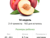 14 недель .