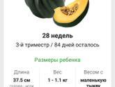 28 недель?
