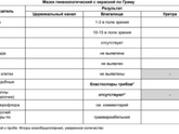 Кто понимает?