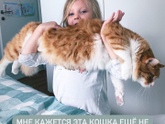 Вирусная лейкемия кошек.