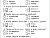 Добрый вечер.