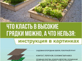 Высадила я то, что купили...