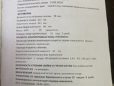 Фетометрия 32недели 6дней