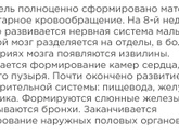 И все таки девочка 😹