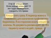 Клещ. Срочно!