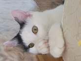 Может сочтете меня не нормальной..??♀️много букв