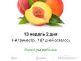 13 недель .