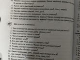 Совет по обучению,для 6-7 лет