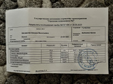 Во время беременности был