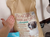 У кого крупные собаки на натуралке 🙏🏻
