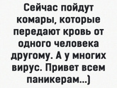 Фотография 2021-05-17 23:21:24