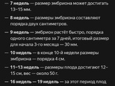 Это же по акушерскому сроку?