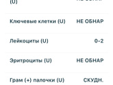 Мазок на флору