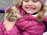 Вот этот котик )