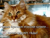 Как провели праздники?