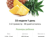 33 недели .