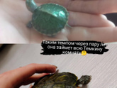 Расскажите про своих питомцев.