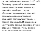 Яички