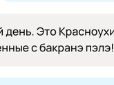 Черепаха