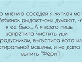 Фотография 2022-02-01 11:31:02