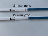 Динамика за 1 день
