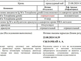 Девочки вчера спрашивала, еще
