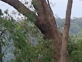 Berowra Waters в Австралии...