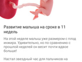 ?11 неделек?