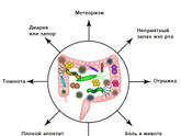 Дисбактериоз кишечника симптомы чем снять?