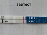 В прекрасном ожидании!