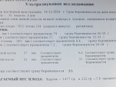 3 скрининг.