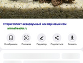 дорогие все срочно)) аквариумная тема 2))