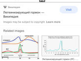 Здравствуйте.